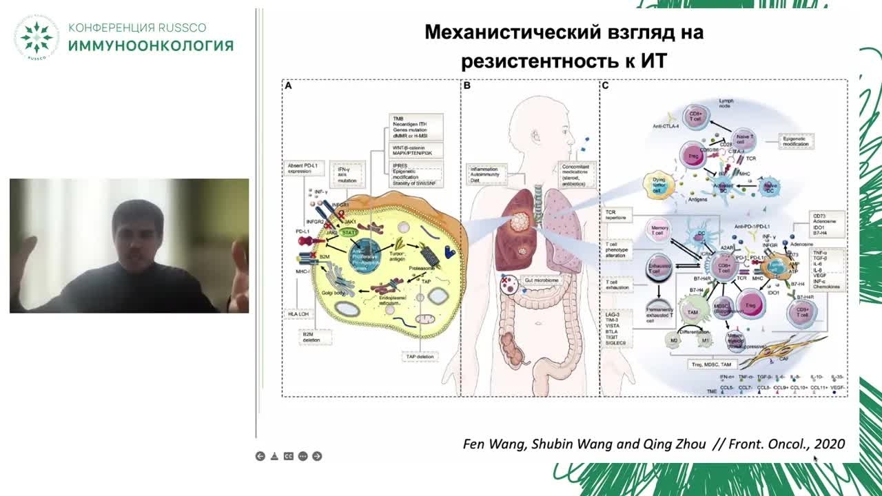 Микроокружение опухоли