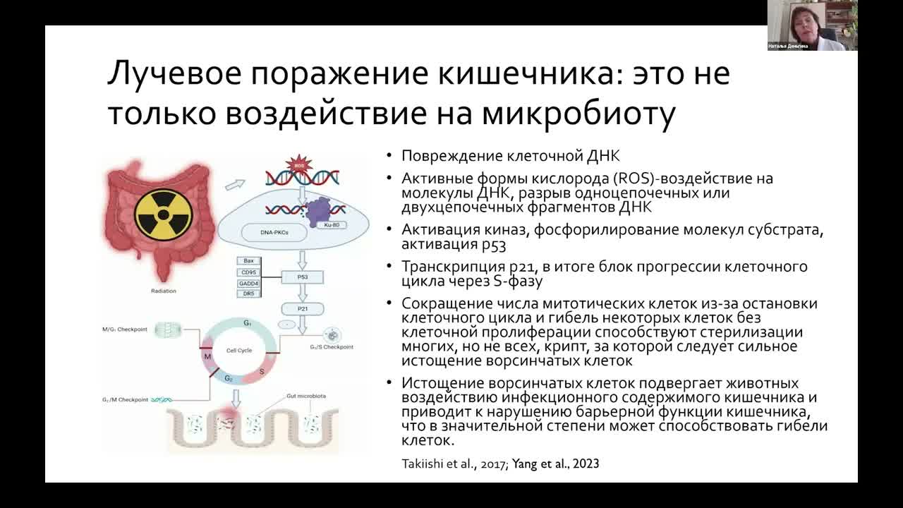 Осложнения лучевой терапии. Часть 2 (вебинар 16 марта 2026)
