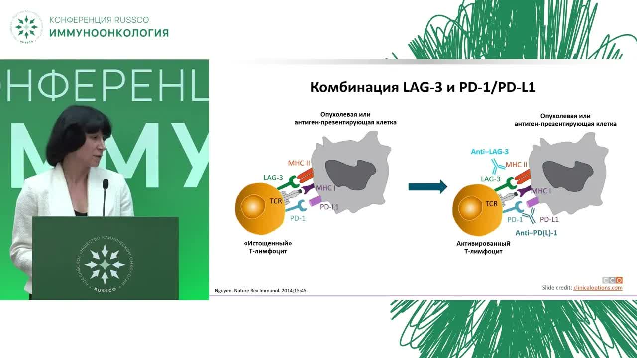 Ре-челлендж иммунотерапии солидных опухолей