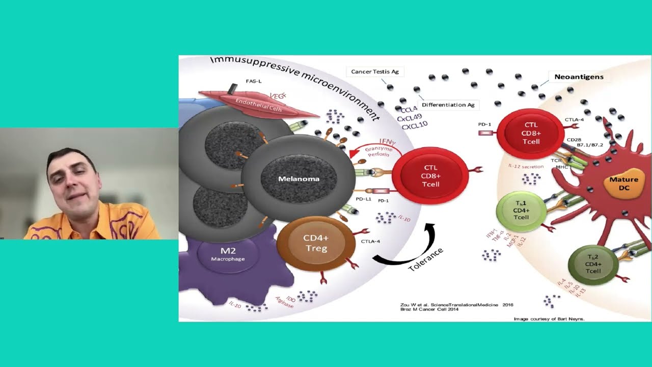 Новые перспективы иммунотерапии: клеточная терапия