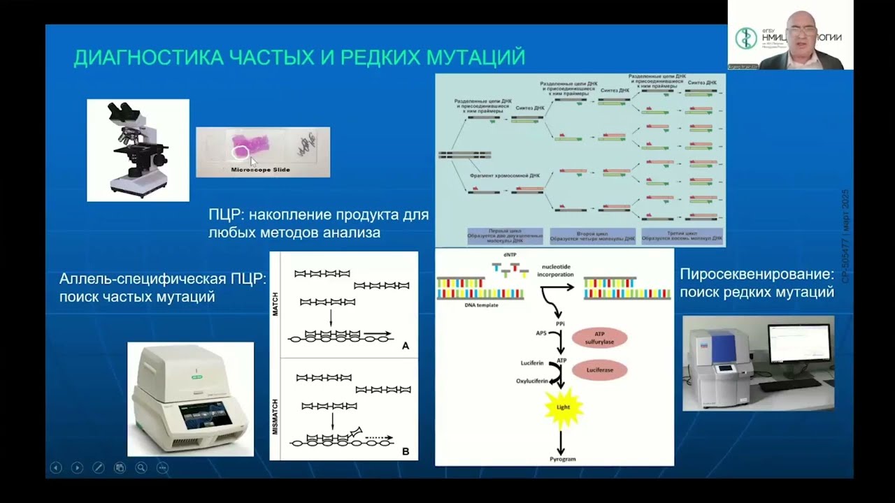 Молекулярно-генетическая диагностика меланомы: взгляд молекулярного биолога
