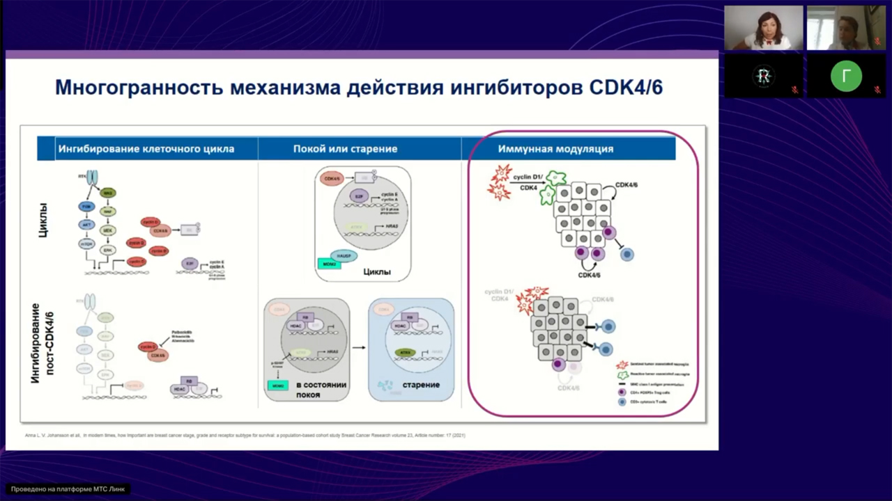 Место CDK4/6 ингибиторов в лечении РМЖ (вебинар 25 августа 2025)