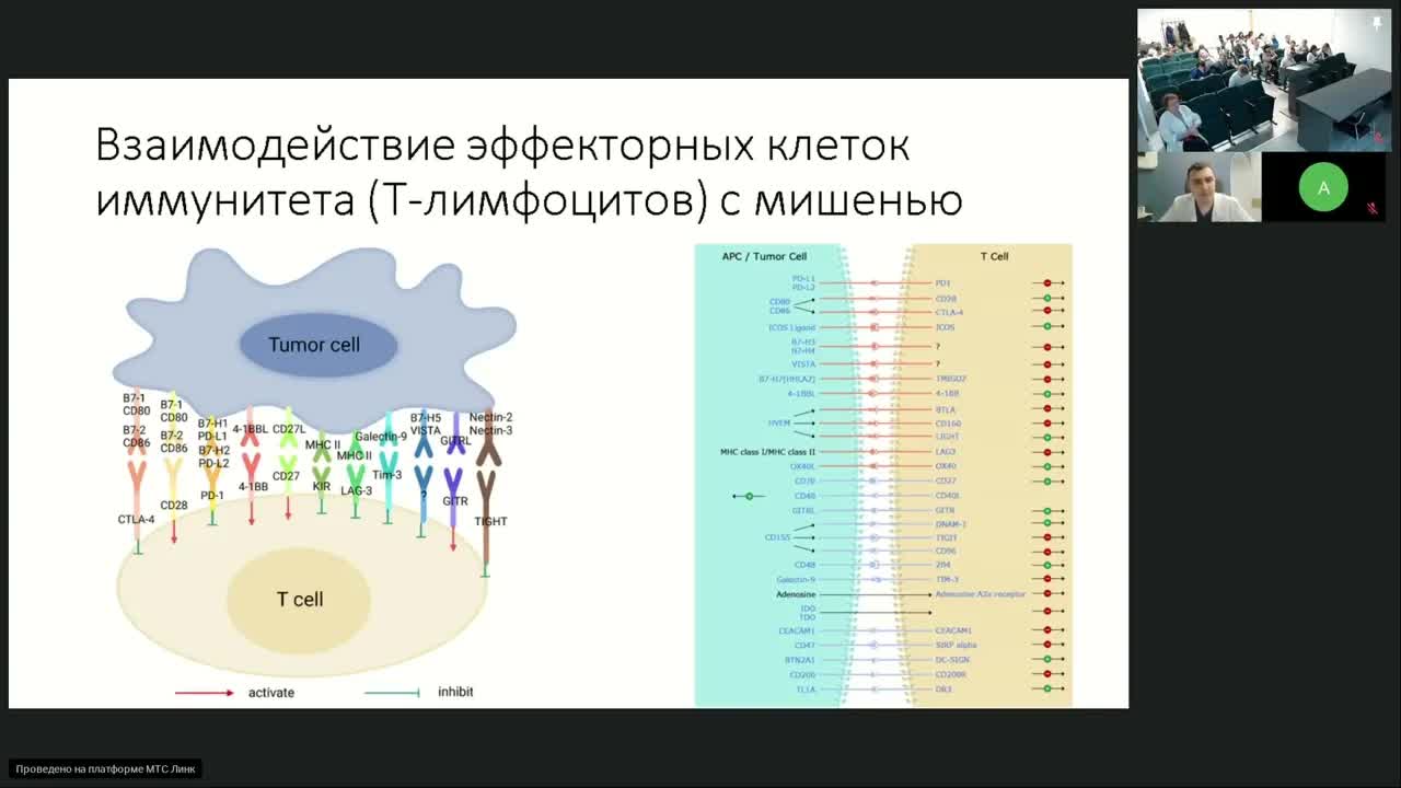 Иммуноонкология. Практические аспекты использования биомаркеров (вебинар 18 октября 2023)