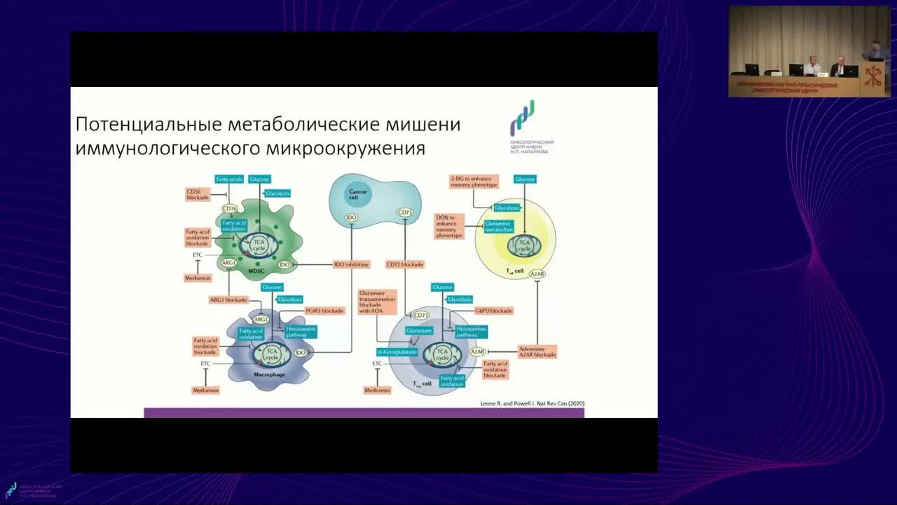 Метаболические особенности иммунологического микрооокружения