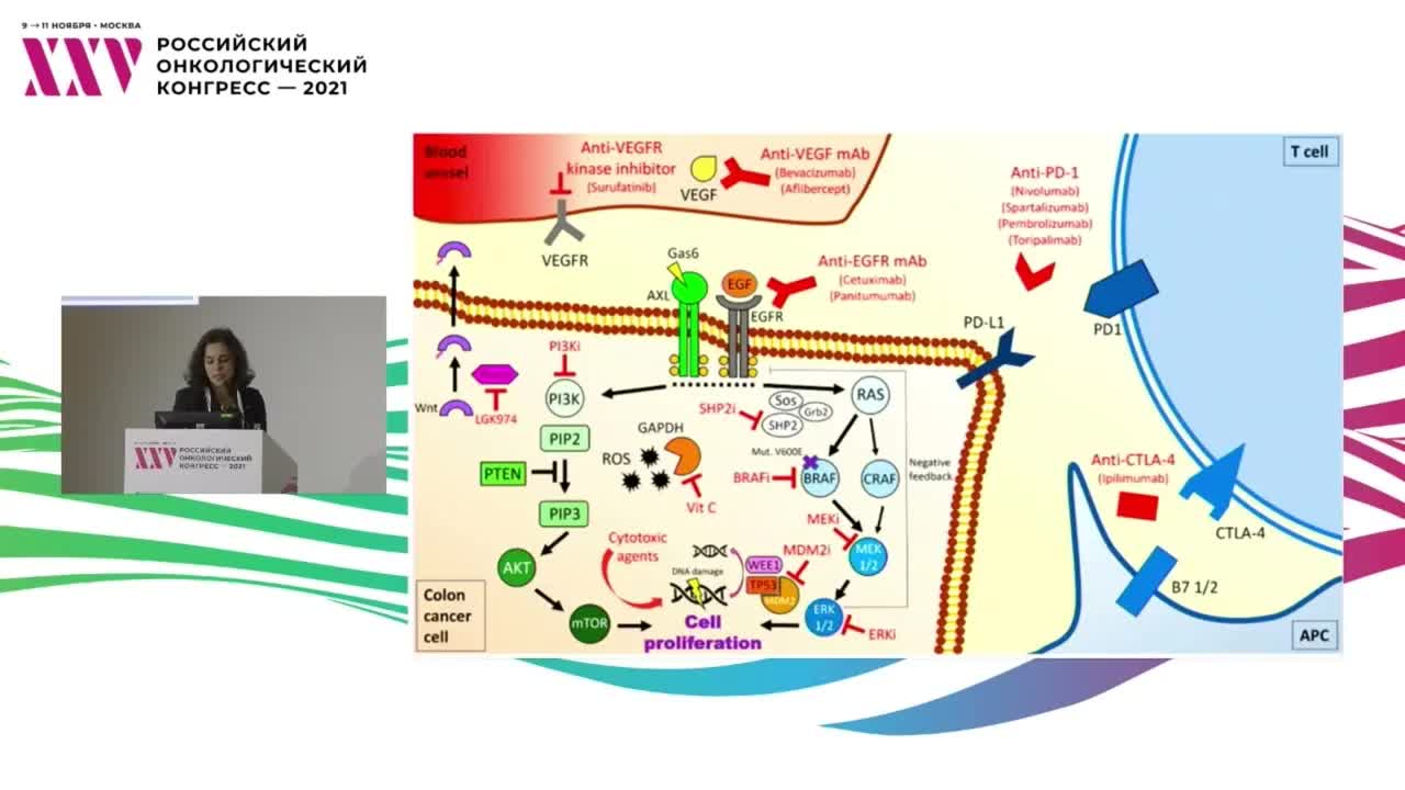 Особенности выбора терапии колоректального рака при мутации в гене BRAF