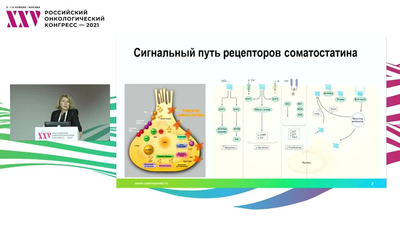 Аналоги соматостатина при прогрессировании НЭО – продолжить нельзя отменить: где поставить запятую