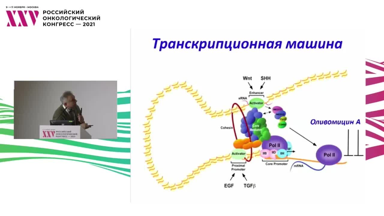 Механизмы транскрипции как мишени лекарств: не только перепрограммирование