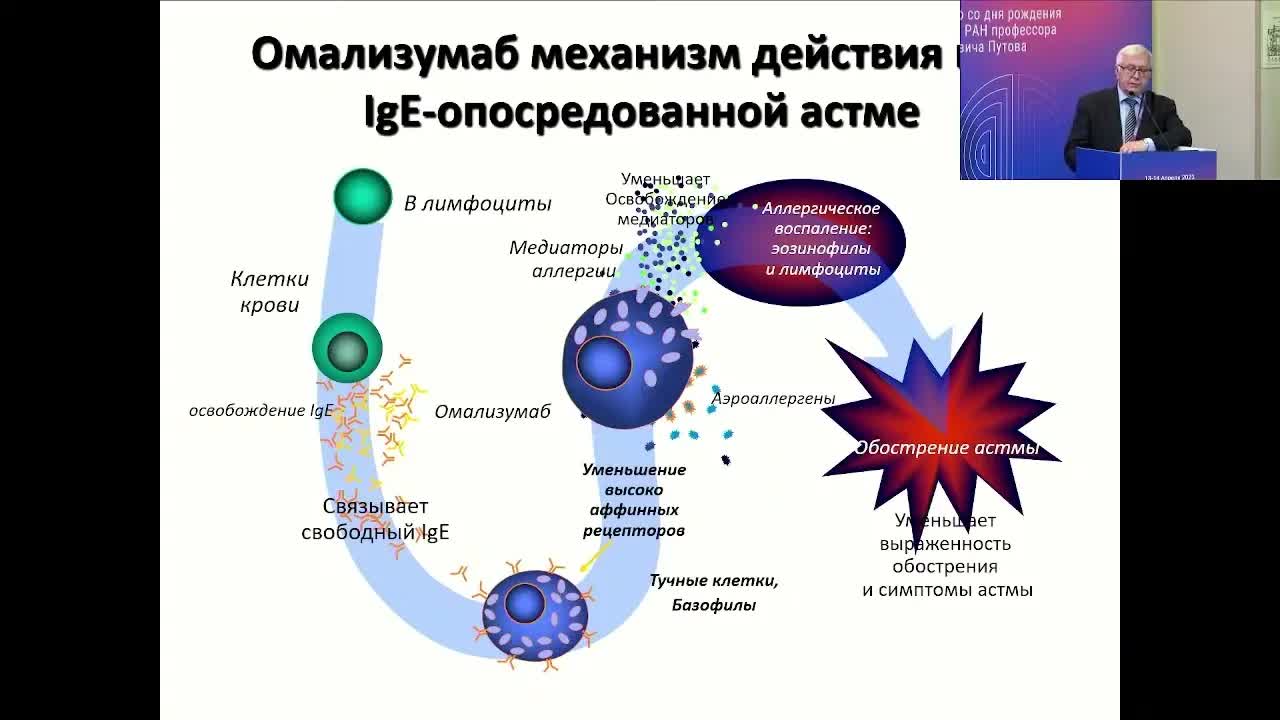 Современное представление о бронхиальной астме