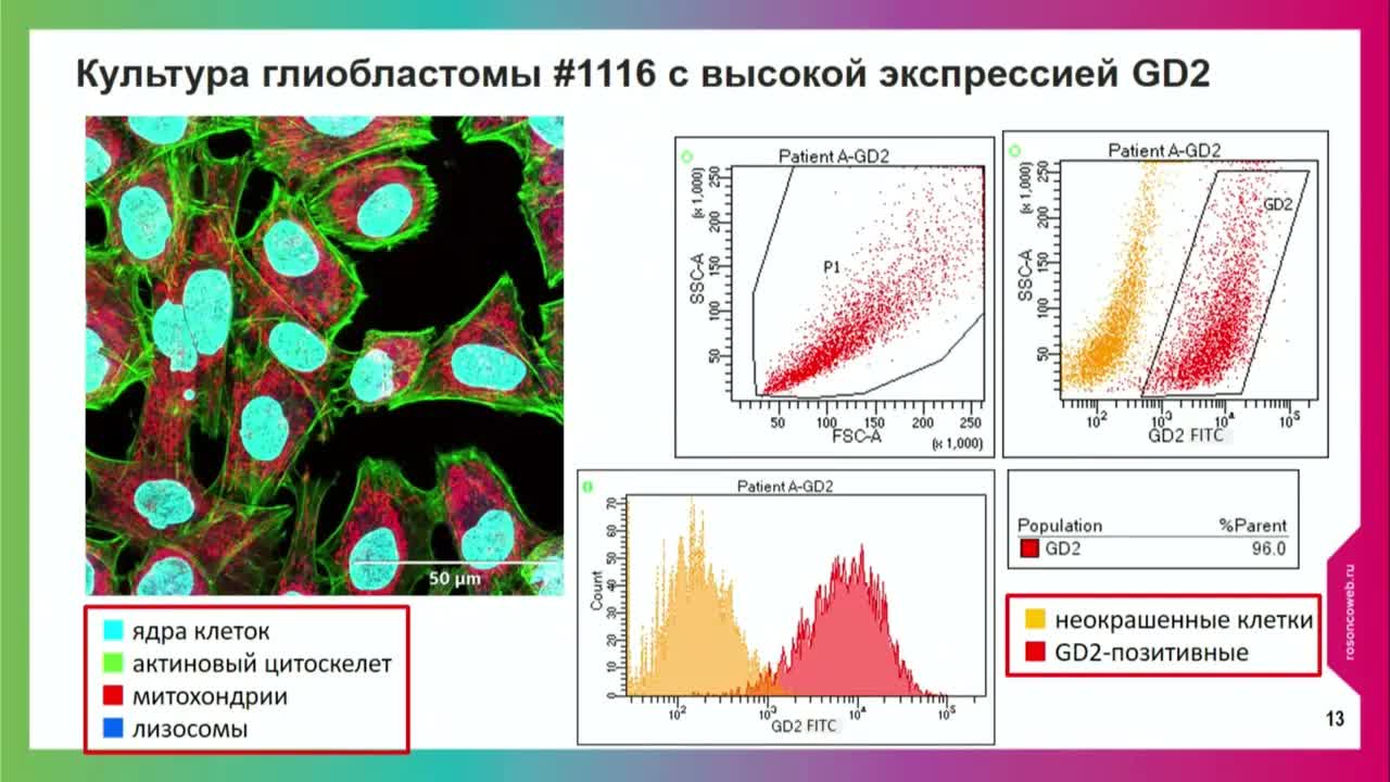 Роль вакцины на основе аутологичных дендритных клеток в лечении глиобластом