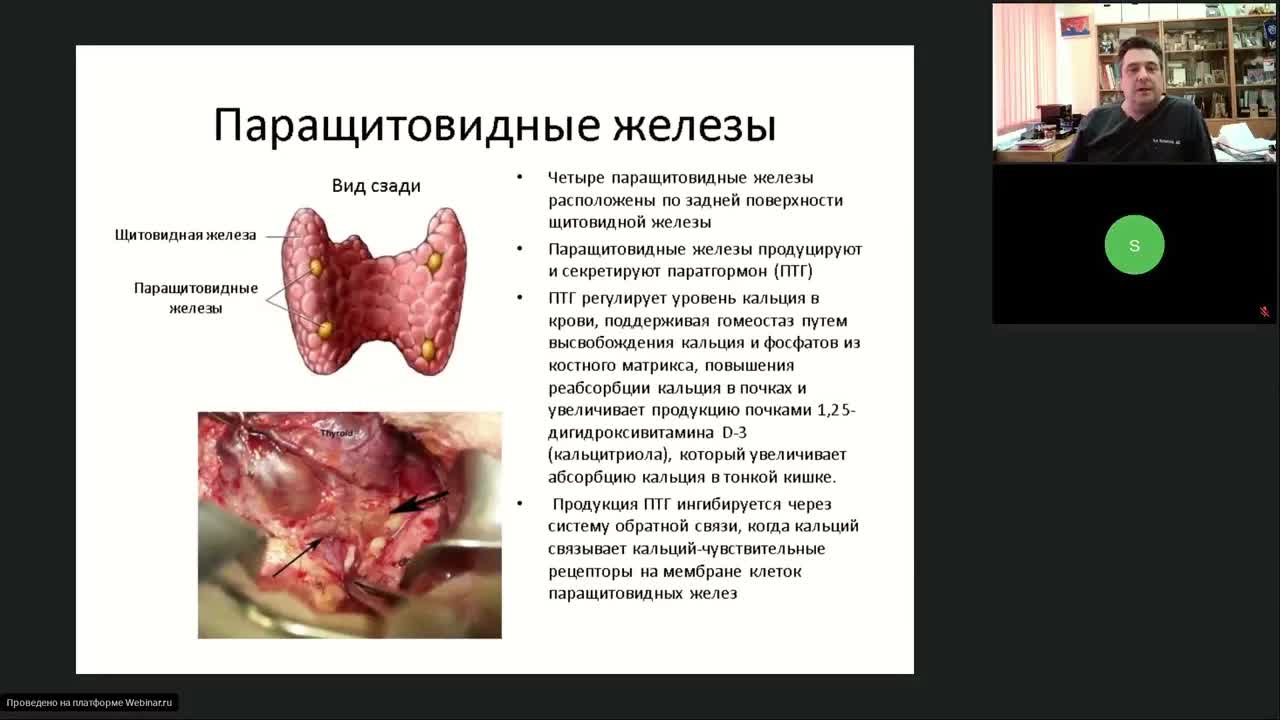 Лекарственная терапия опухолей головы и шеи (вебинар 28 февраля 2023)
