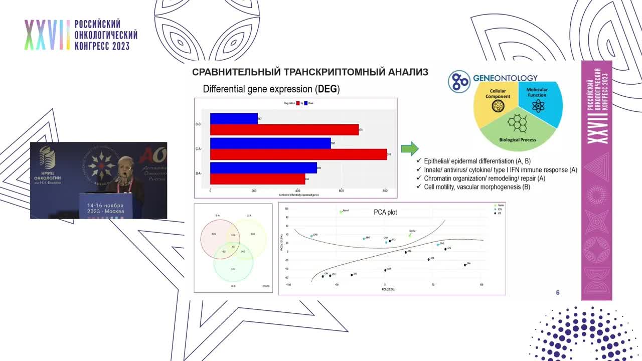 Молекулярно-генетическая классификация вирус-ассоциированного рака шейки матки на основе NGS-анализа