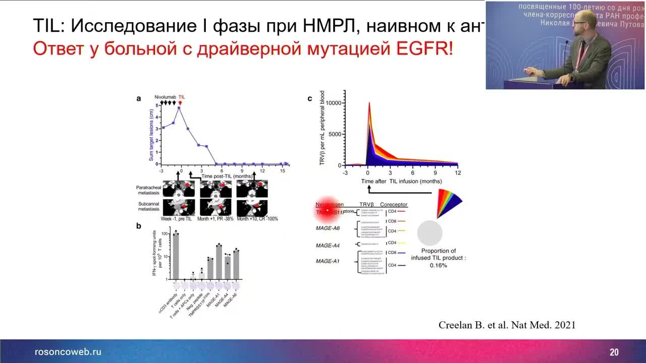 Клеточная терапия – перспективы и отечественный опыт