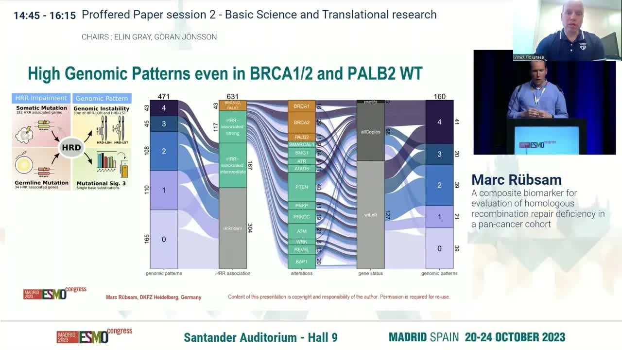 HHR как предиктор эффективности терапии за пределами PARP ингибиторов