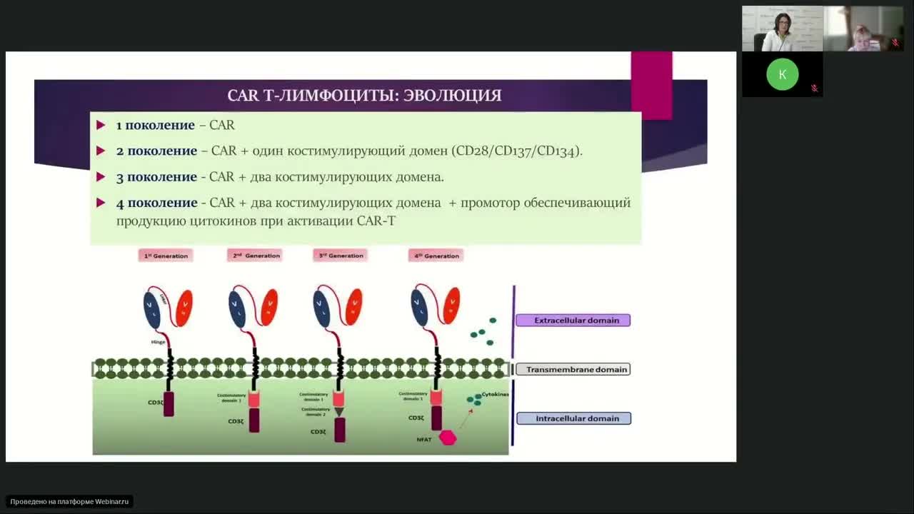 Иммуноонкология. Перспективные направления иммунотерапии (вебинар 12 октября 2023)
