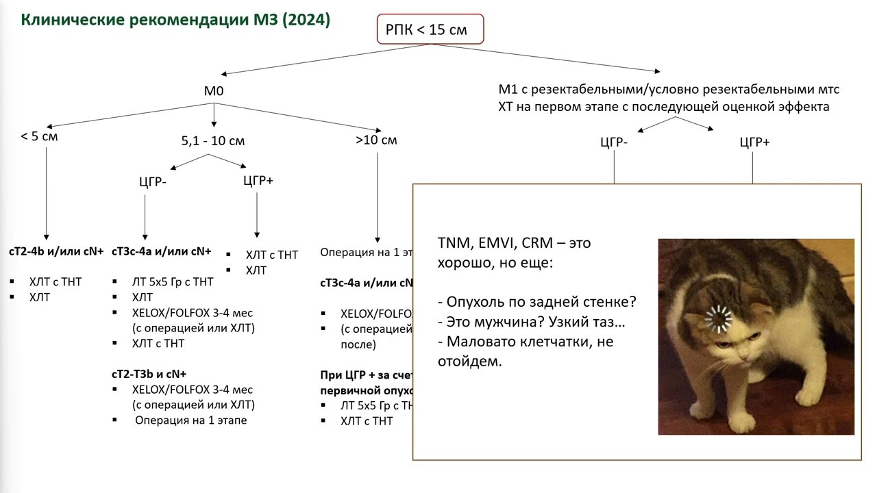 Длительность неоадъювантного лечения при опухолях ЖКТ. Рак прямой кишки