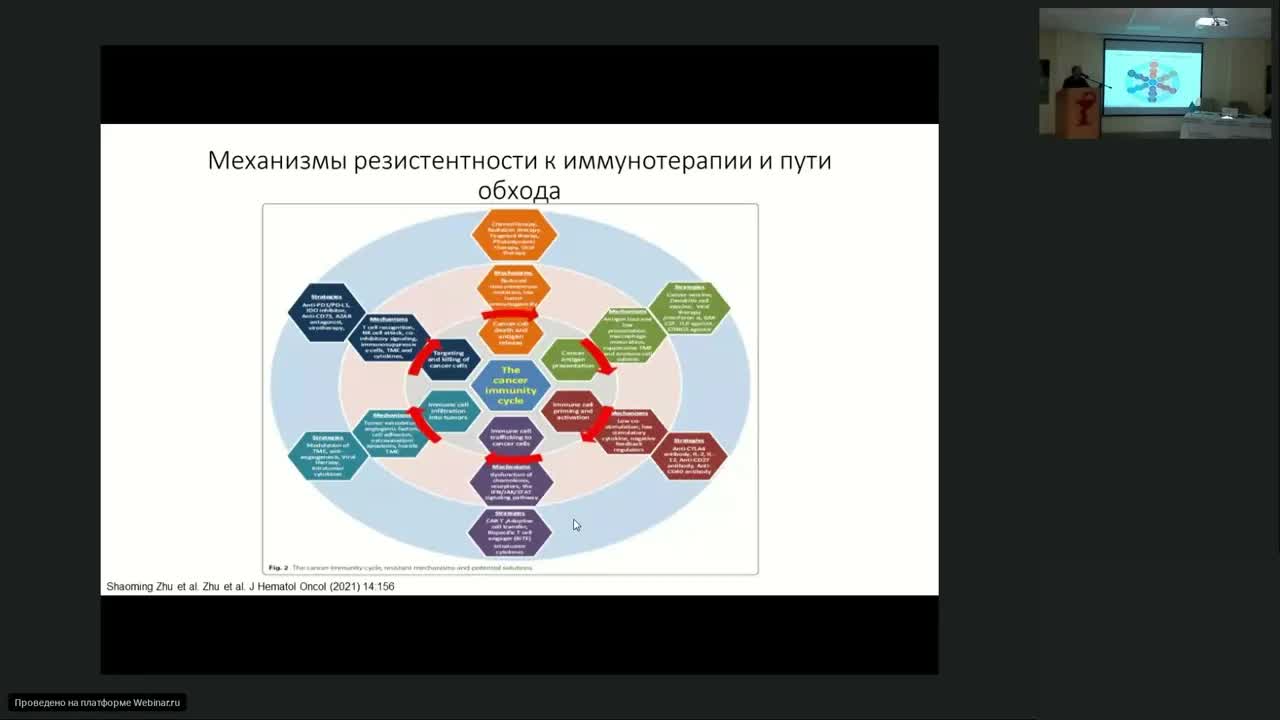 Иммунотерапия: выбор эффективной комбинации