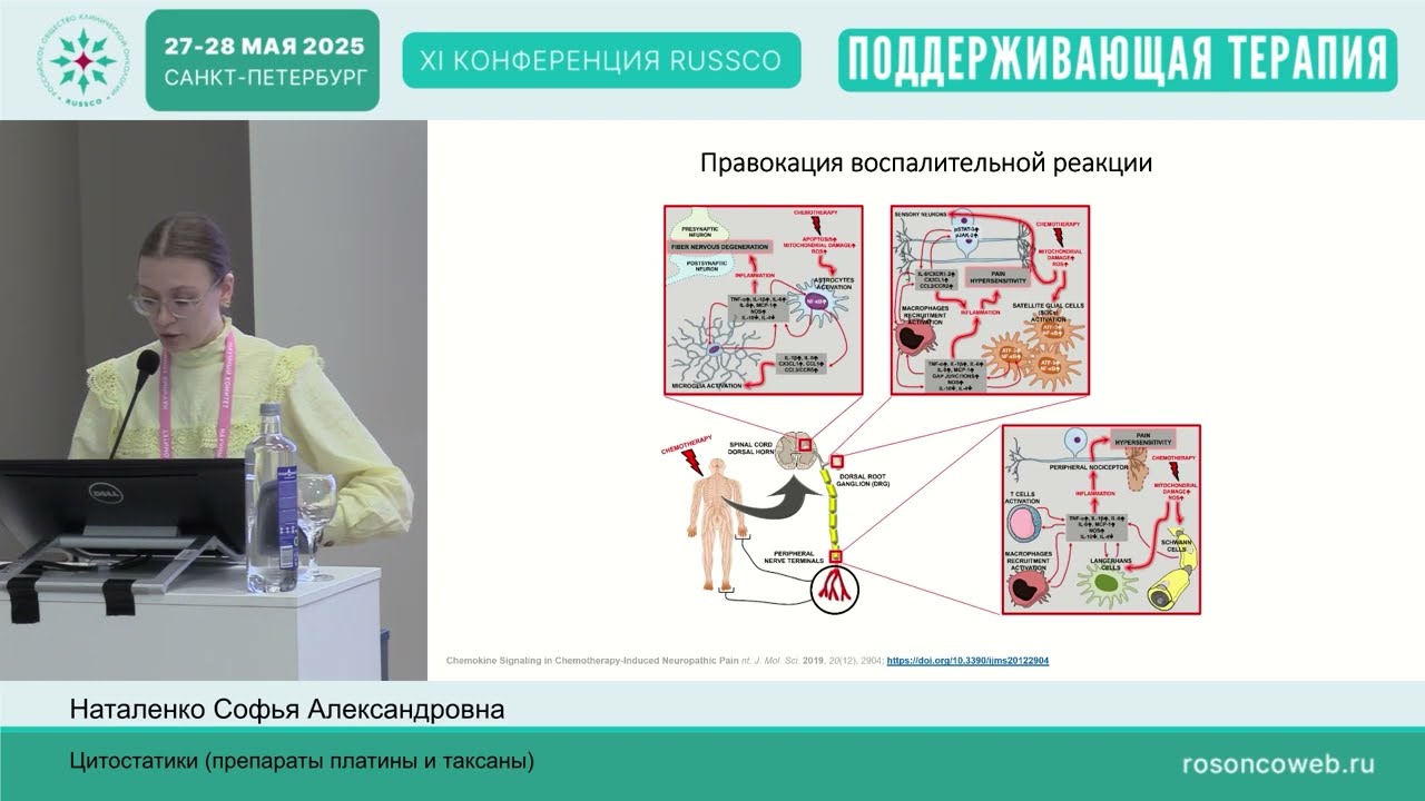 Хроническая токсичность. Цитостатики (препараты платины и таксаны)