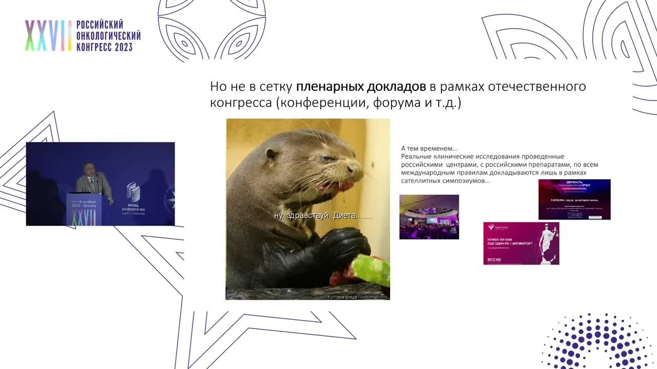 Мы получили результаты клинического исследования DOMAJOR, что нам с ними делать?