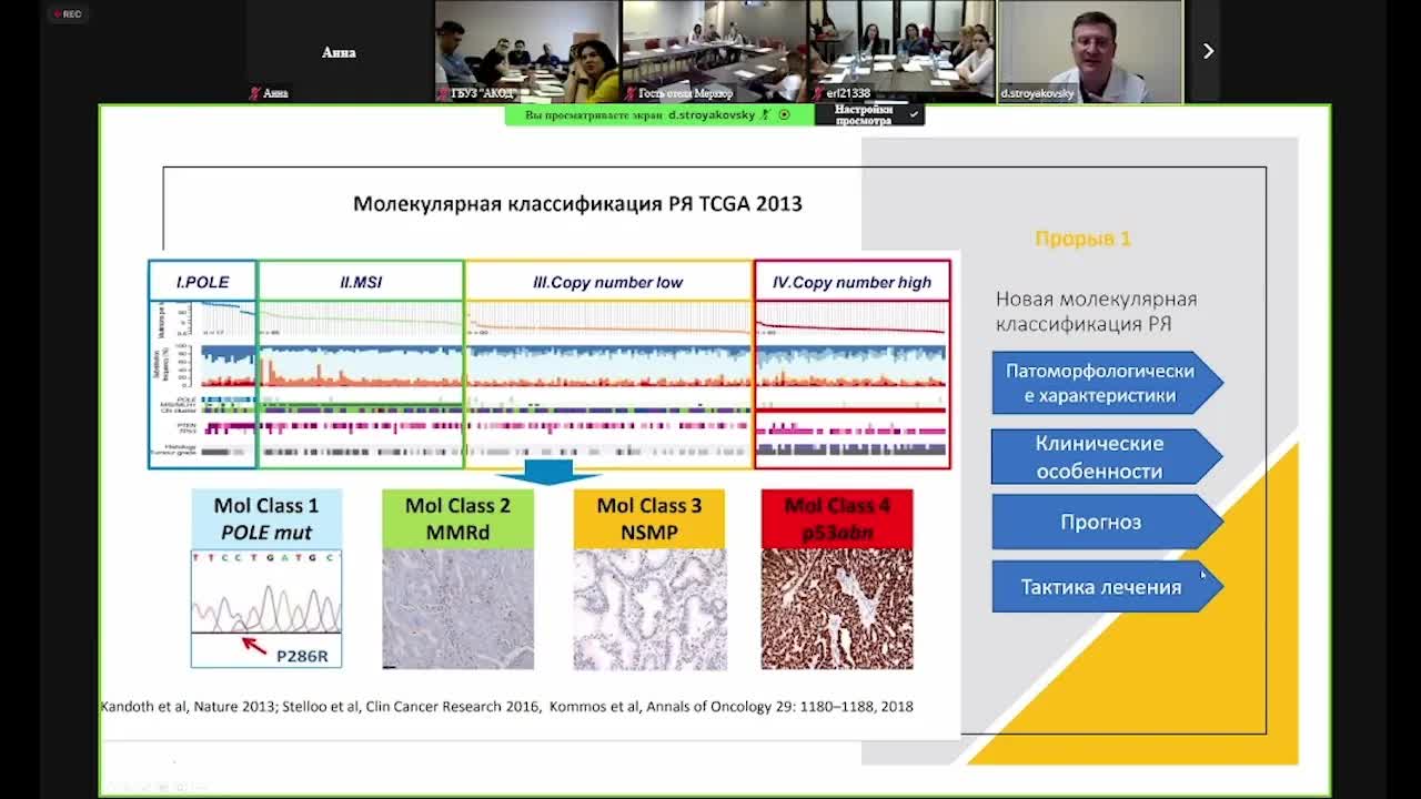 Виртуальные мини-дебаты по раку почки и раку эндометрия (вебинар 18 апреля 2024)