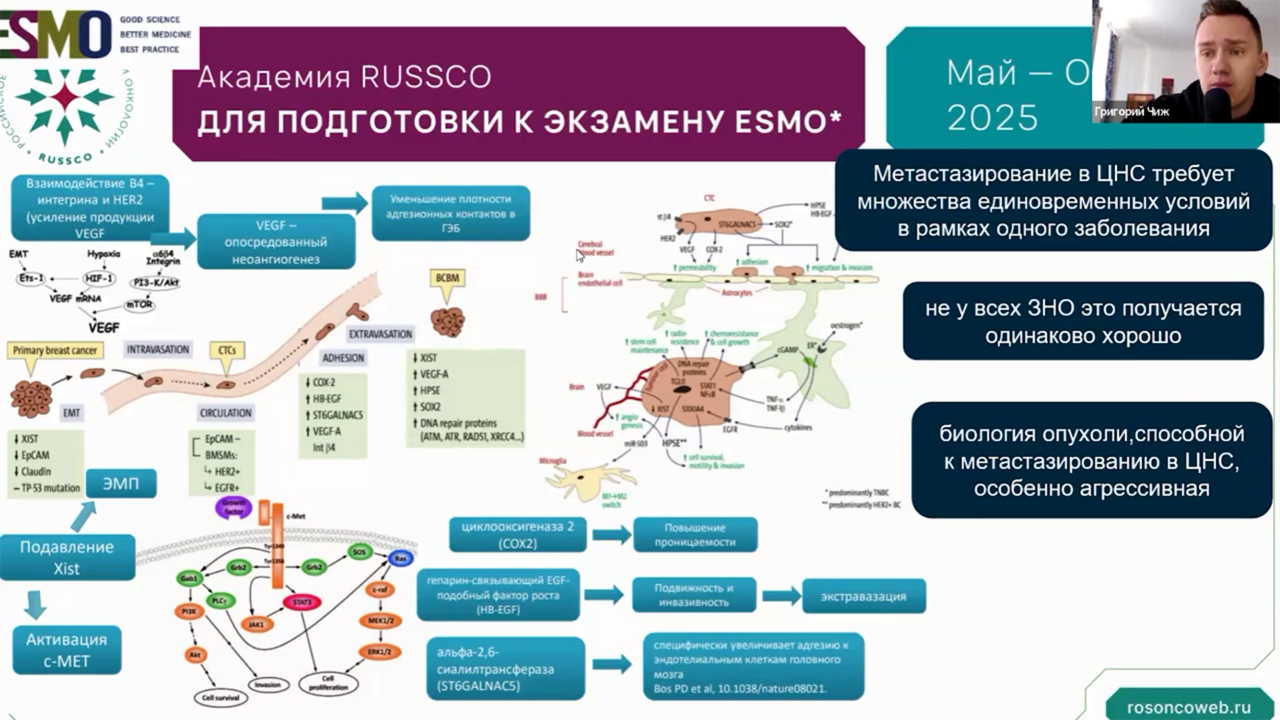 Академия RUSSCO для подготовки к экзамену ESMO: Нейроонкология (17 августа 2025)