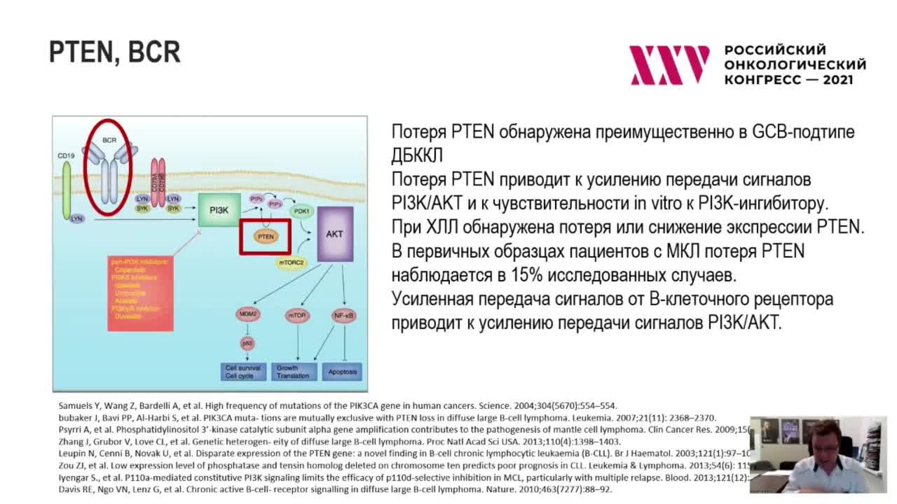 Ингибиторы PI3K