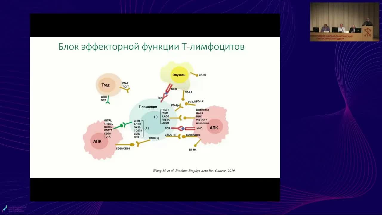 Фундаментальные основы иммунотерапии для клинициста