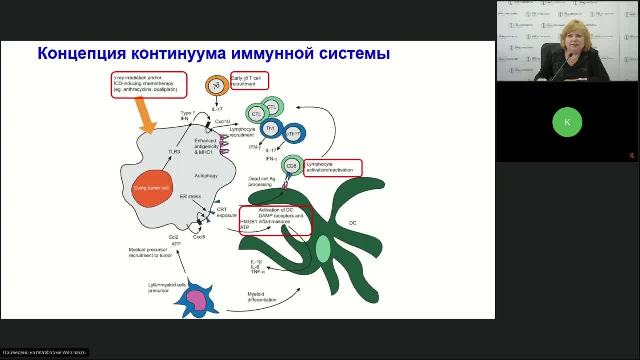 Возможности клеточной иммунотерапии